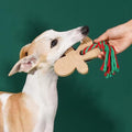 ZEZE Gingerbread Man Dog Toy with Rope - Pets Villa