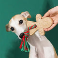 ZEZE Gingerbread Man Dog Toy with Rope - Pets Villa