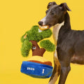 ZEZE Good Fortune Money Plant Enrichment Dog Toy - Pets Villa