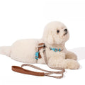 ZEZE Outdoor Leathery Pet Harness and Leash - Pets Villa