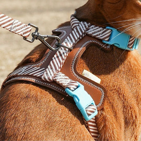 ZEZE Outdoor Leathery Pet Harness and Leash - Pets Villa