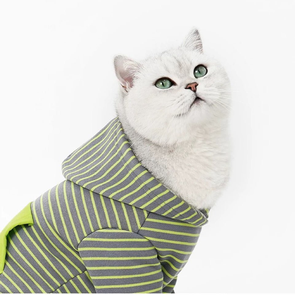 Cat clothes for cats best sale