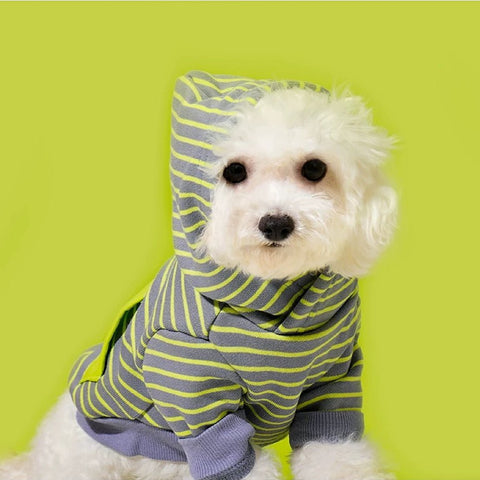 ZEZE Trend Striped Pet Hoody - Pets Villa