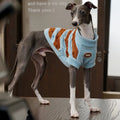 ZEZE Warmth Striped Pet Sweater - Pets Villa