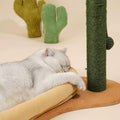 ZEZE Cactus Scratching Post & Bed - A close up of the bottom of the scratching post and bed with a grey cat relaxing on the bed. This is a product of Pets Villa.