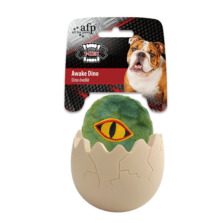 Fetch n 2024 treat dog toy