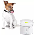 Demonstration of built-in UV light in ALL FOR PAWS cat water fountain for sterilizing water