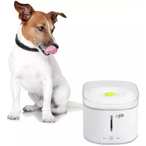 Demonstration of built-in UV light in ALL FOR PAWS cat water fountain for sterilizing water