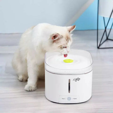 ALL FOR PAWS UV Lamp Pet Water Fountain - Pets Villa