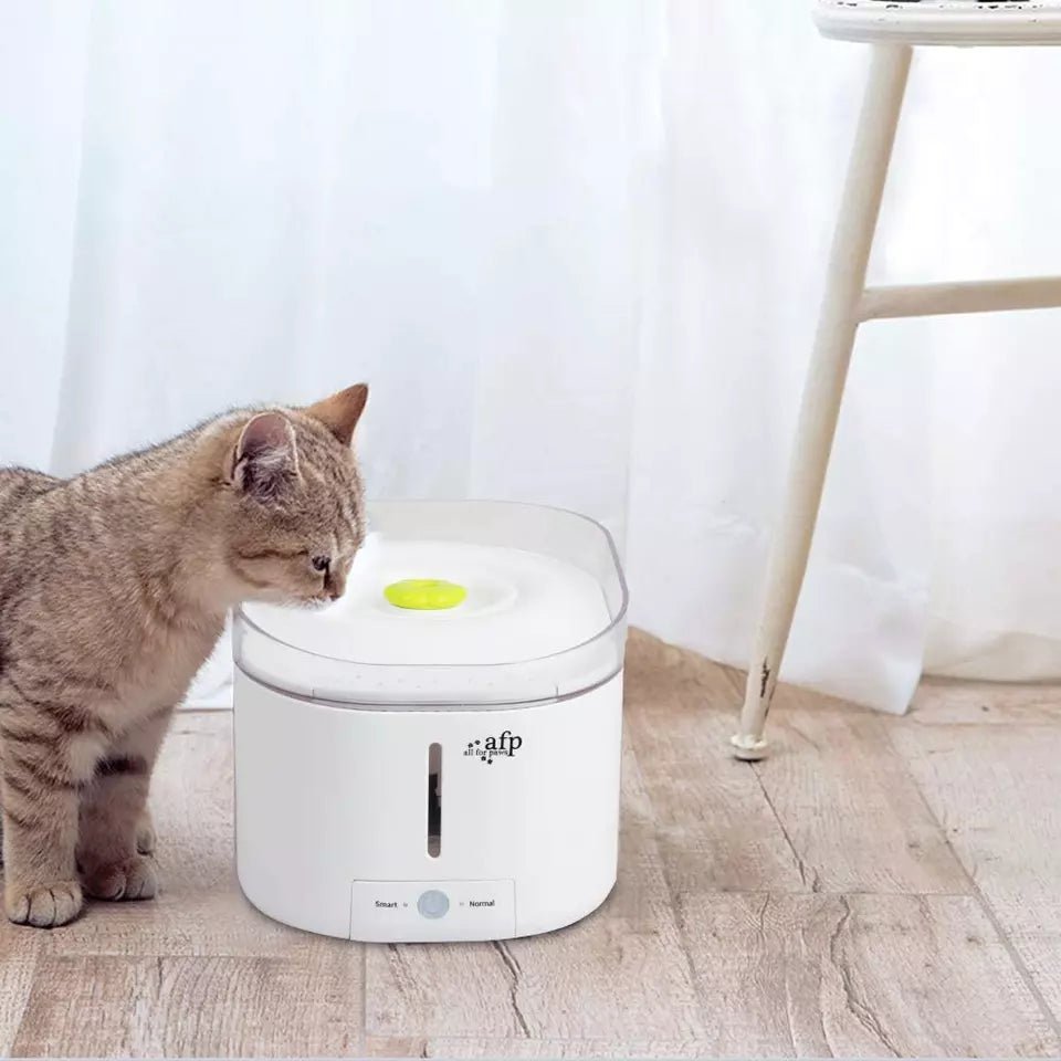 ALL FOR PAWS UV Lamp Pet Water Fountain - Pets Villa