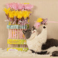 Soft Feather & Rabbit Fur Cat Toy – AMY&CAROL Interactive Teaser
