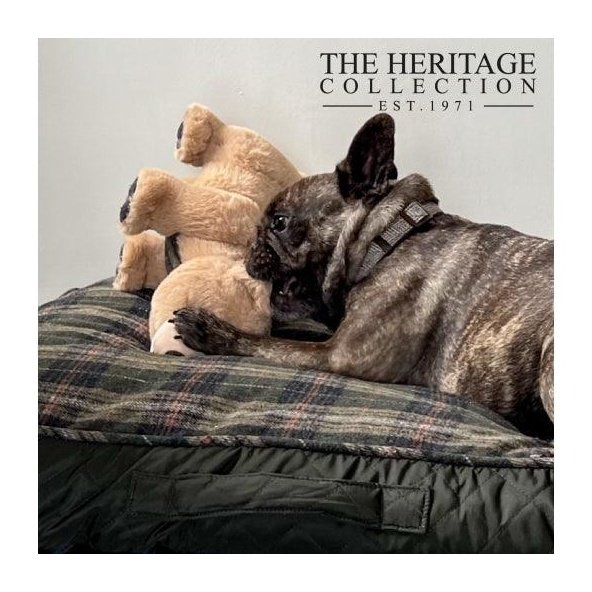ANCOL Heritage Tartan Bear - Pets Villa