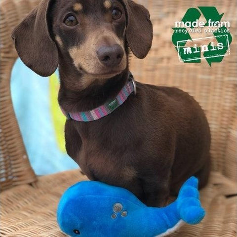 Ancol Made From Recycled Comfort Toy Pack – Eco-Friendly, Squeaky, and Cuddly
