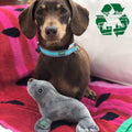 Ancol Made From Recycled Squeaky Comfort Toy – 13cm, 6 Eco-Friendly Designs