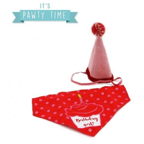 Ancol Party Hat & Bandana Set – Sweet Pink Stylish Celebration Accessories for Dogs