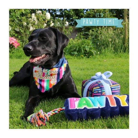 Soft ANCOL dog toy for cuddling with squeaker, eco-friendly recyclable packaging
