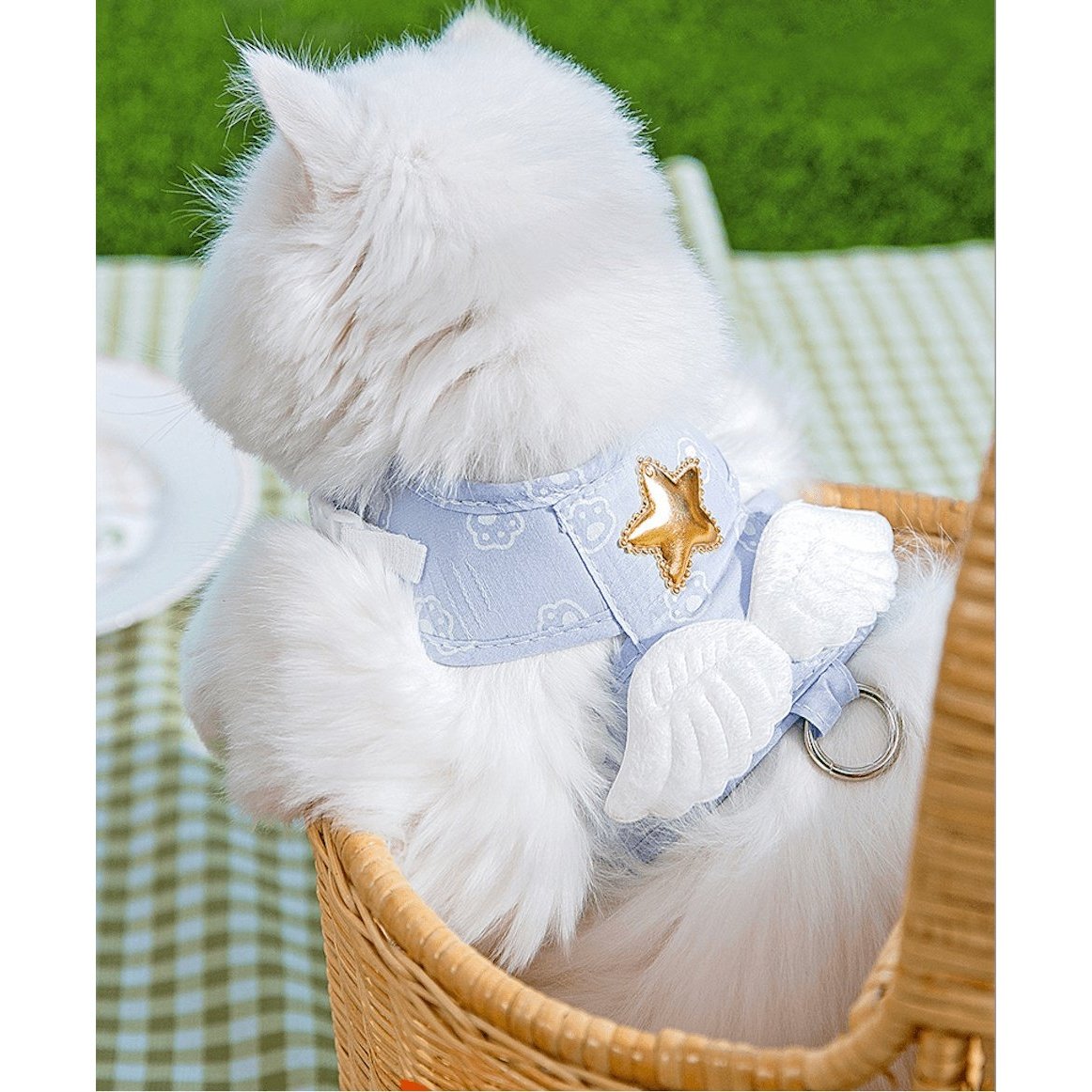 Angel Wings Harness for Small Dogs and Cats with Matching Lead