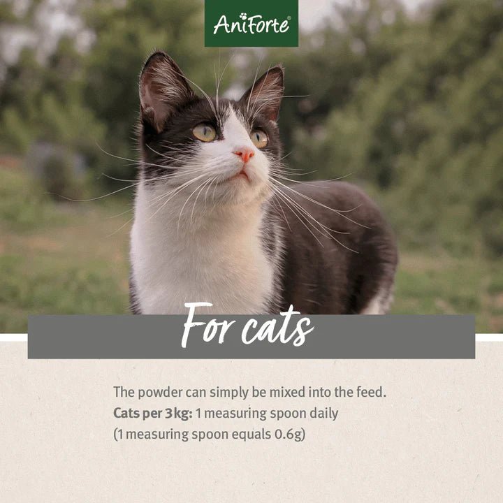 ANIFORTE BARF Complete - Raw Cat Food Supplement 100g - Pets Villa