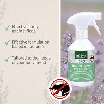 ANIFORTE Flea-EX Spray 250ml - Natural Flea Treatment for Dogs & Cats