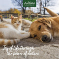 ANIFORTE MultiVETAL Powder 100g - Natural Vitamin and Mineral Supplement for Dogs & Cats - Pets Villa