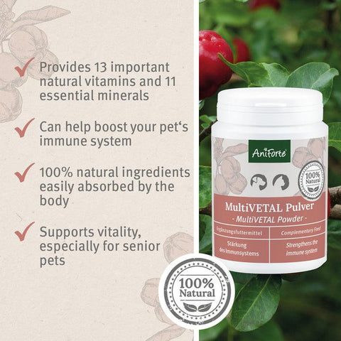 ANIFORTE MultiVETAL Powder 100g - Natural Vitamin and Mineral Supplement for Dogs & Cats - Pets Villa