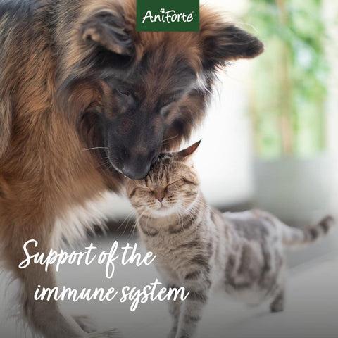 ANIFORTE MultiVETAL Tablets for Dogs and Cats - Pets Villa