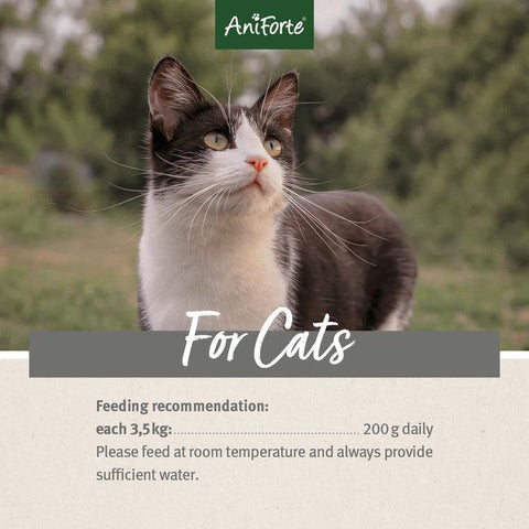 ANIFORTE PureNature Salmon & Turkey - Pets Villa