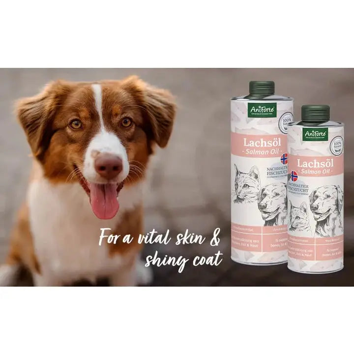 ANIFORTE Salmon Oil for Dogs & Cats - Natural Omega-3 EPA - Pets Villa