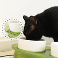 Anti-Spill Angled Pet Bowl - Pets Villa