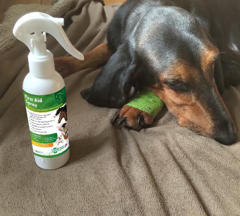 AQUEOS First Aid Spray for Animals 200ml - Pets Villa