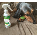 AQUEOS First Aid Spray for Animals 200ml - Pets Villa