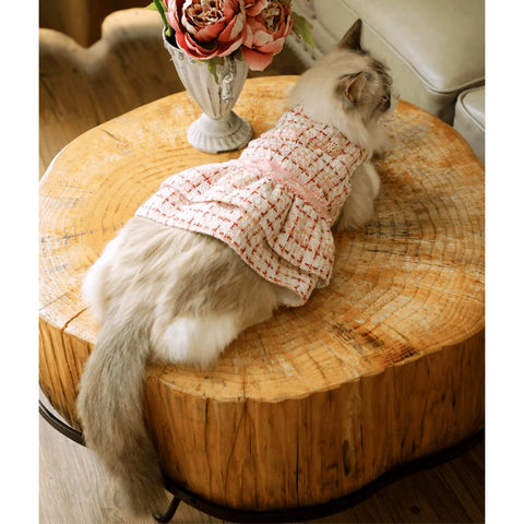 ARKIKA Dress French Style - Pets Villa