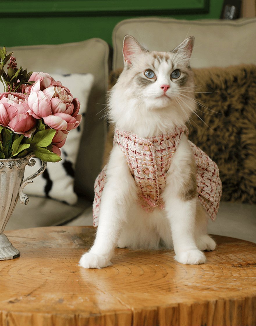 ARKIKA Dress French Style - Pets Villa