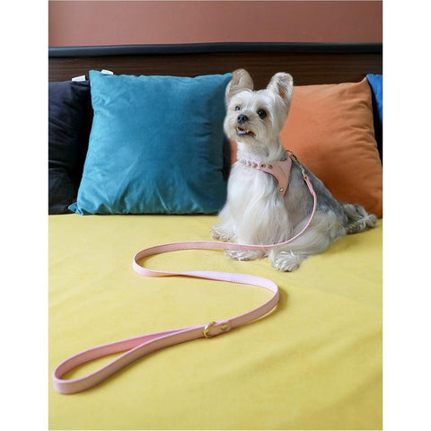 ARKIKA Luxury Leash & Harness with Diamond - Pets Villa