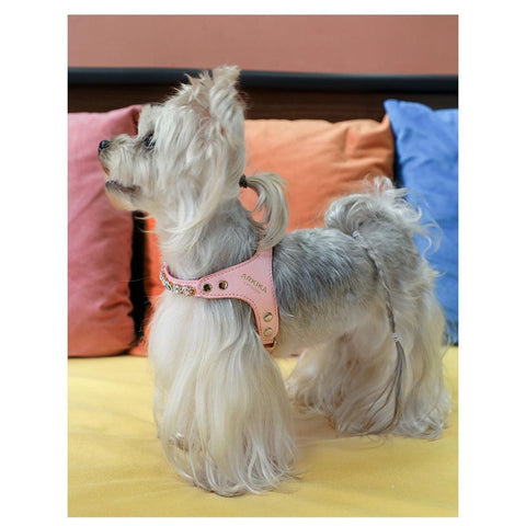 ARKIKA Luxury Leash & Harness with Diamond - Pets Villa