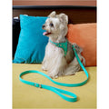 ARKIKA Luxury Leash & Harness with Diamond - Pets Villa