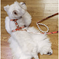 ARKIKA Pearl Harness & Lead - Pets Villa