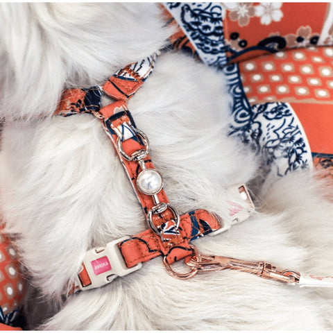 ARKIKA Pearl Harness & Lead - Pets Villa