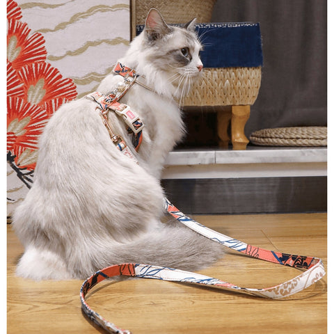 ARKIKA Pearl Harness & Lead - Pets Villa