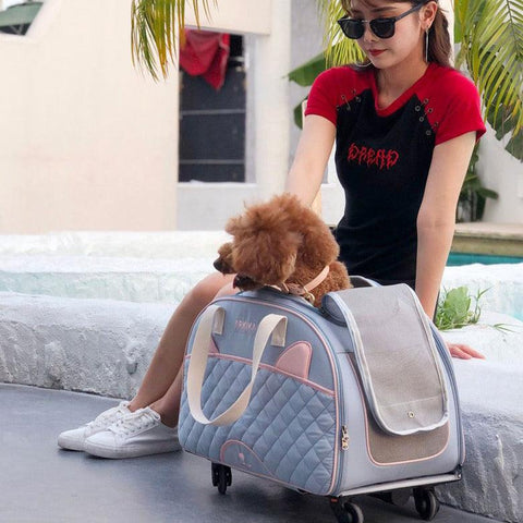 ARKIKA Pet Trolley - Pets Villa