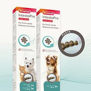 BEAPHAR IntestoPro Paste for Cats & Dogs - Pets Villa