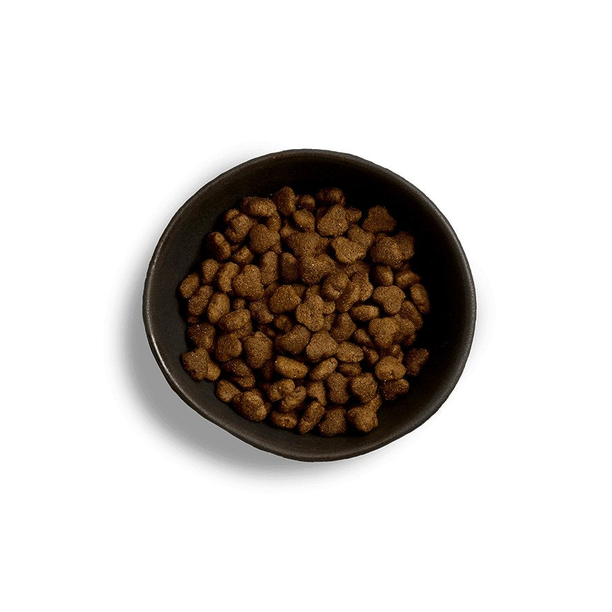 Canagan dry best sale cat food