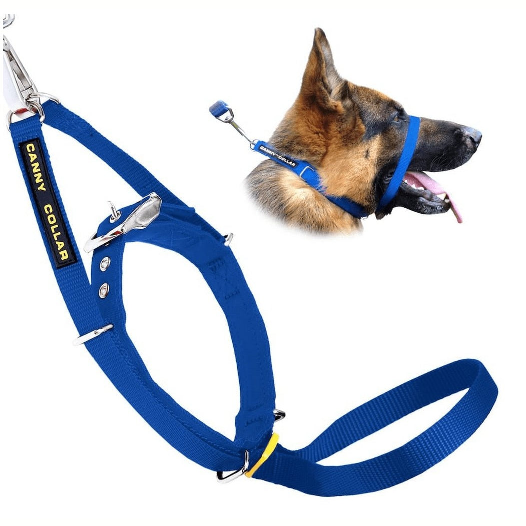 Dog leads to sales stop pulling uk