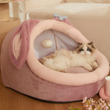Cartoon Style Comfort Pet Bed