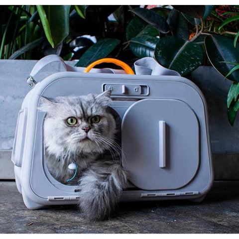 Castle Style Cat Carrier with Temperature & Humidity Display - Pets Villa