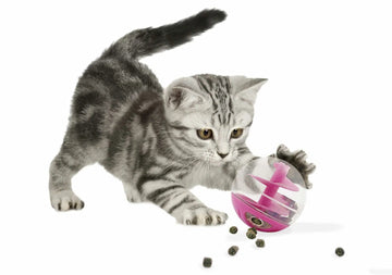 CATIT Cat Treat Ball