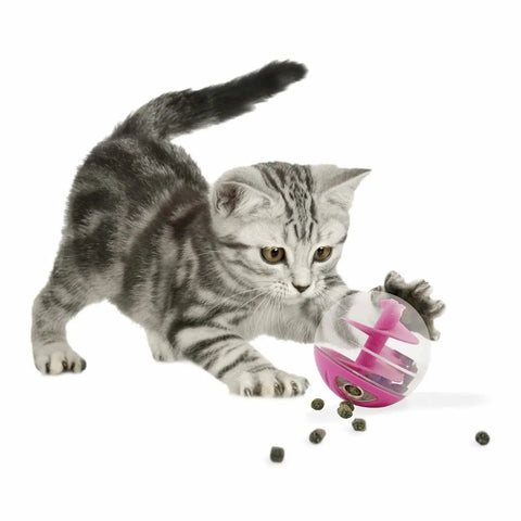 Cat treat ball best sale