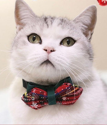 Christmas Bow Tie - Tartan red with a black collar attachement. This is a product of Pets Villa. Being modelled by a white and grey cat.
