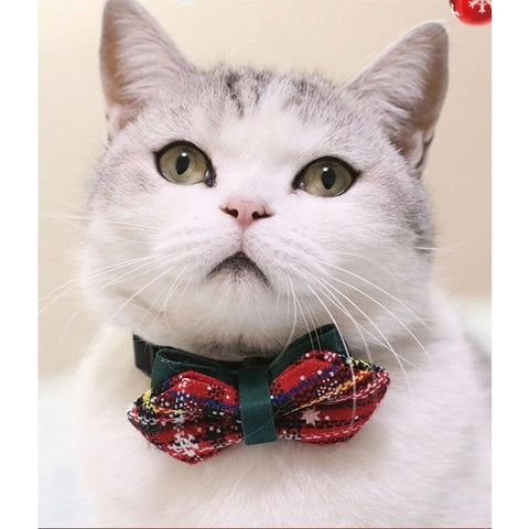 Christmas Bow Tie - Tartan red with a black collar attachement. This is a product of Pets Villa. Being modelled by a white and grey cat.