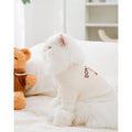 Cute Bear Pet Jumper - Pets Villa